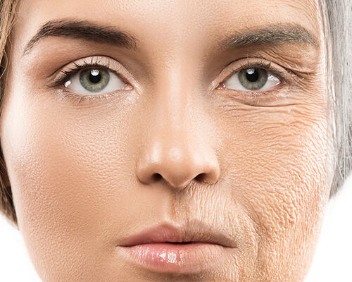 0shutterstock_661551358